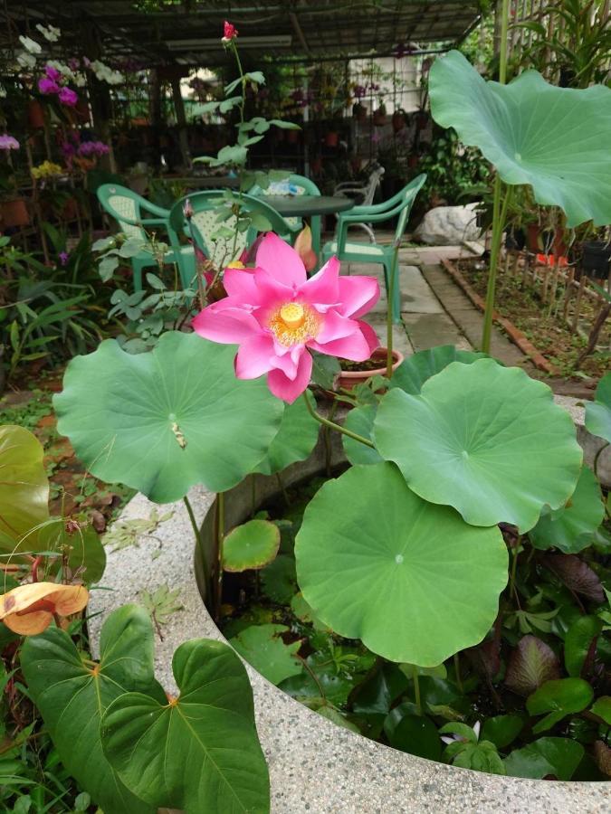 Garden Hostel Minxiong Exteriér fotografie