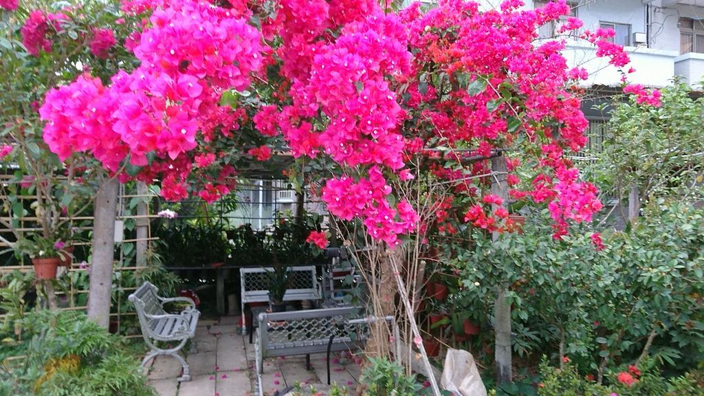 Garden Hostel Minxiong Exteriér fotografie